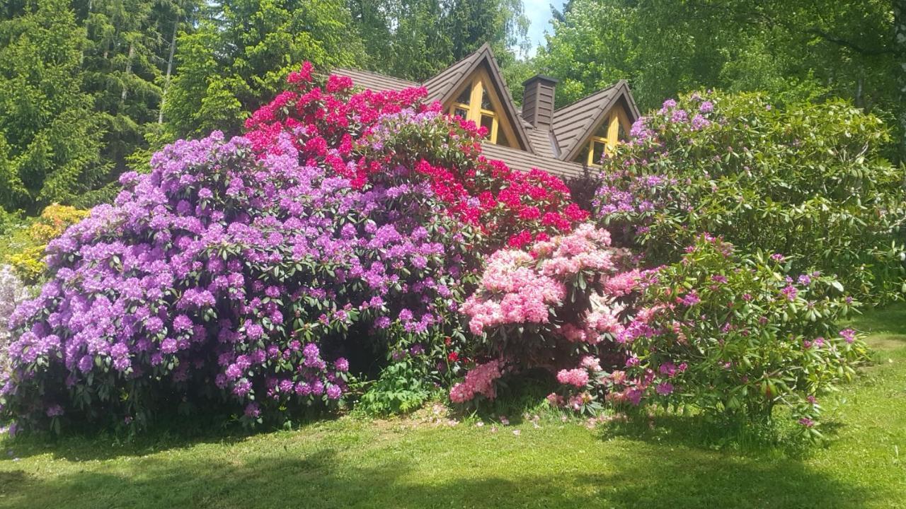 Chalet Bellevue Rogla Zreče Εξωτερικό φωτογραφία