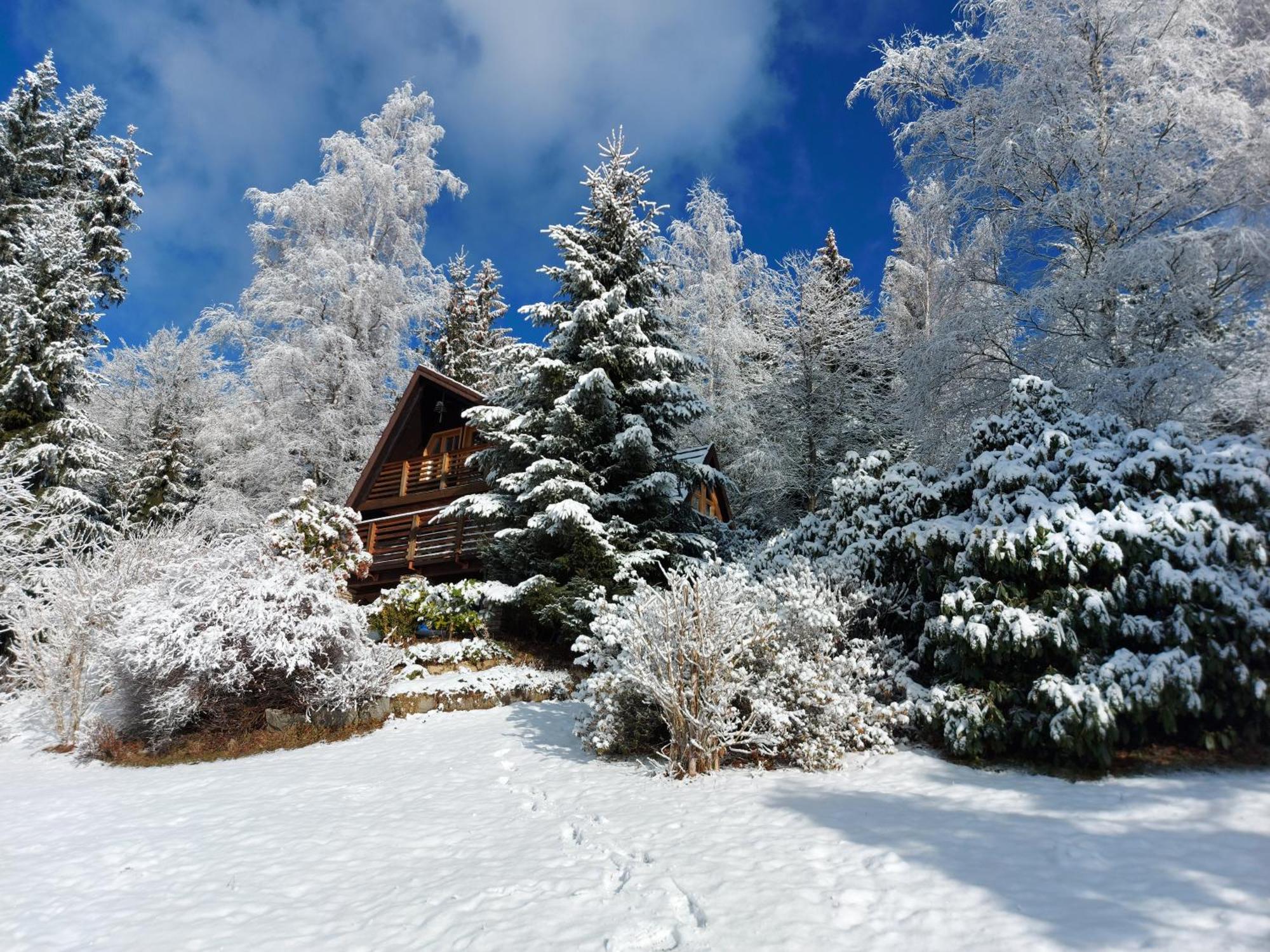 Chalet Bellevue Rogla Zreče Εξωτερικό φωτογραφία