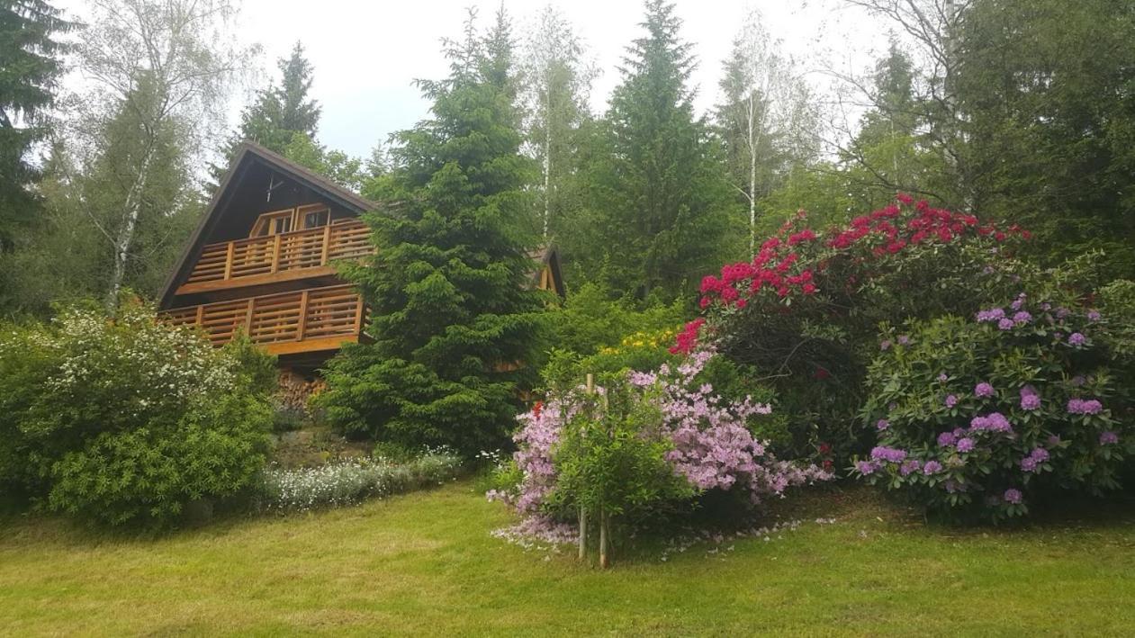 Chalet Bellevue Rogla Zreče Εξωτερικό φωτογραφία